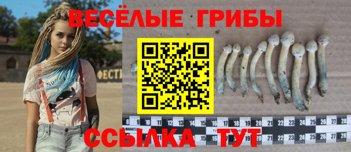 Галлюциногенные грибы Psilocybe  Вход с VPN  где купить наркоту  Верхняя Салда 
